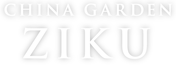 china garden ZIKU
